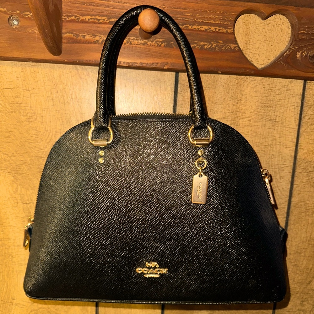 Coach dome purse